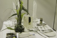 Spargel Gala