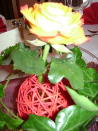 Weiter geht es mit der Spargel Gala