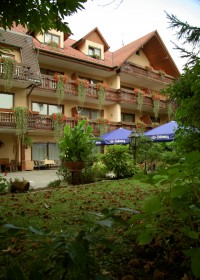 Pfifferlinge