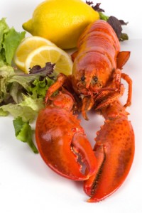 Hummer Abend f�r Einsteiger