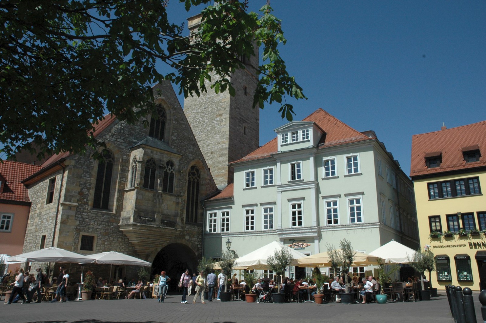 Single bar erfurt