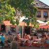 Restaurant Weingasthof Rose in Volkach (Bayern / Kitzingen)]