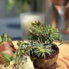 Restaurant FRITZ in Freudenstadt (Baden-W�rttemberg / Freudenstadt)]