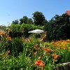 Restaurant Neuendorfkrug in Neuendorf auf Usedom (Mecklenburg-Vorpommern / Ostvorpommern)]