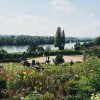 Restaurant Domnenweingut Schloss Schnborn Vinothek & Weinbistro in Hattenheim (Hessen / Rheingau-Taunus-Kreis)]