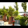 Restaurant Resort Mark Brandenburg - Seewirtschaft in Neuruppin