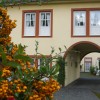 Restaurant Schlosshotel Kurfrstliches Amtshaus in Daun