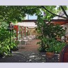 Restaurant Landgasthaus Zur Traube in Bockenheim an der Weinstra�e (Rheinland-Pfalz / Bad D�rkheim)]