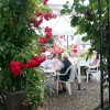 Restaurant Landgasthaus Zum Alten Fritz in Asbach-L�he