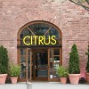 Citrus Bar  Restaurant in Mainz