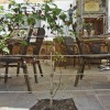 Restaurant-Gasthaus Eifelstube in Rodder Restaurant-Gasthaus Eifelstube in Rodder