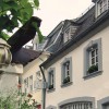 Restaurant Bagatelle in Trier (Rheinland-Pfalz / Trier)]