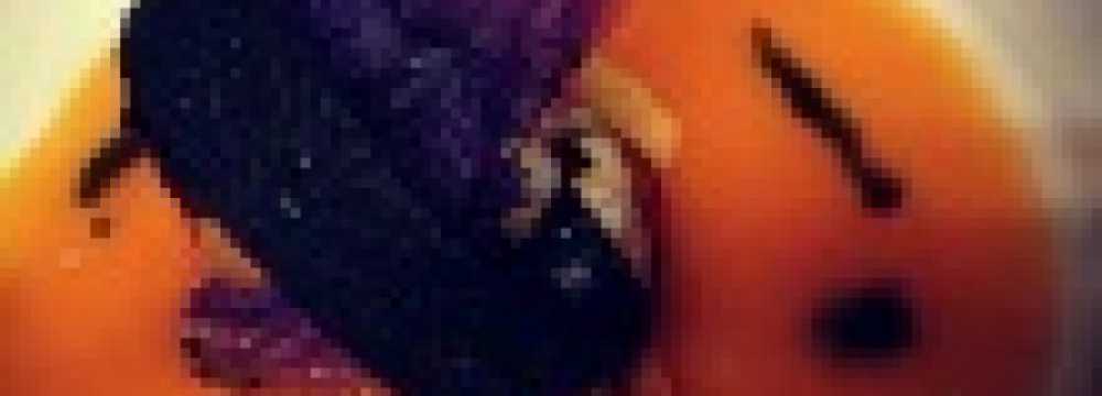 JournalPrestige in K�nigstein