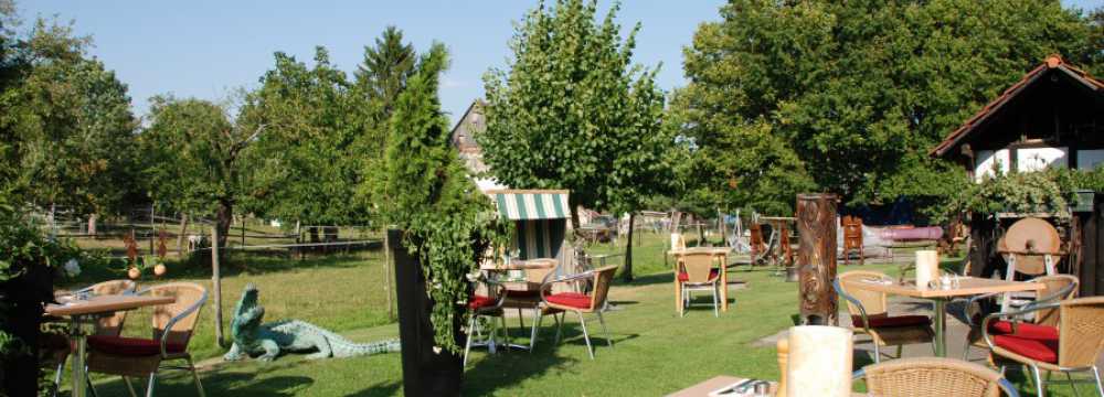 Die Linde in Herrenberg