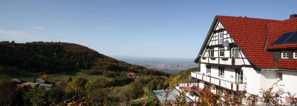 Gr�ner Baum - Brandmatt in Sasbachwalden