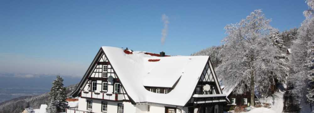 Gr�ner Baum - Brandmatt in Sasbachwalden