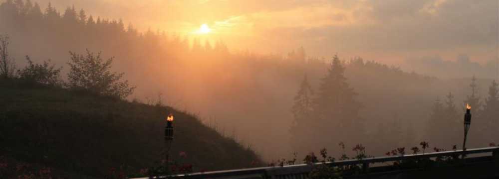 Berggasthaus Lachenh�usle in Titisee- Neustadt