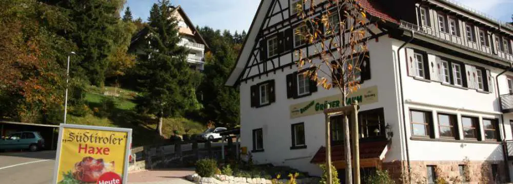 Grner Baum - Brandmatt in Sasbachwalden
