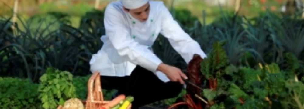 Schloss & Gut Liebenberg in L�wenberger Land OT Liebenberg