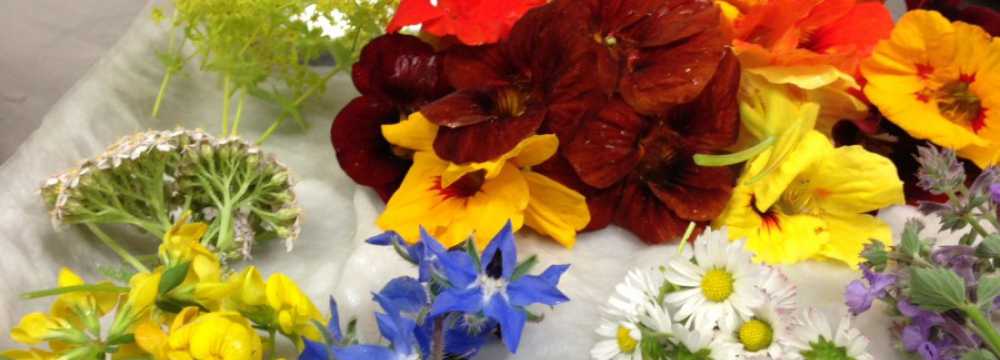 Alboth�s Restaurant im Dorotheenhof in Weimar