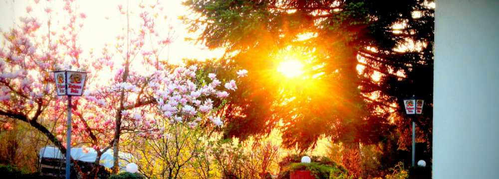 Waldst�ble in Wehr