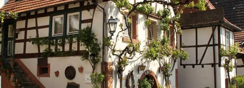 Restaurants in Gleiszellen in der Pfalz: Muskatellerhof