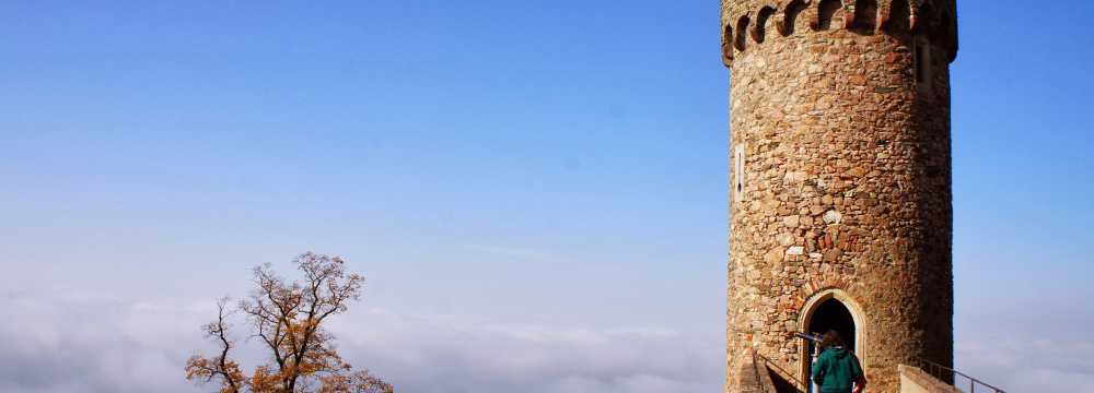 Schlo� Auerbach GmbH in Bensheim-Auerbach 