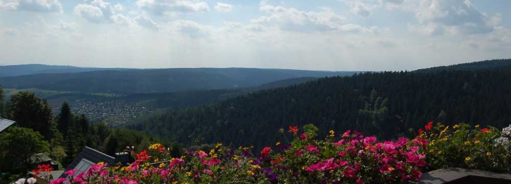 Berggasthaus und Pension Sch�ne Aussicht in Klingenthal/Sachsen