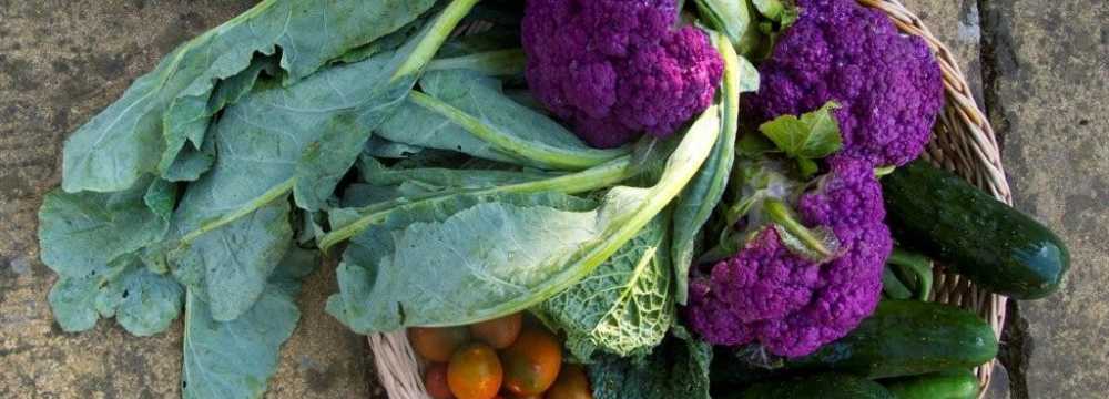 Flair Hotel Alter Posthof in Spay