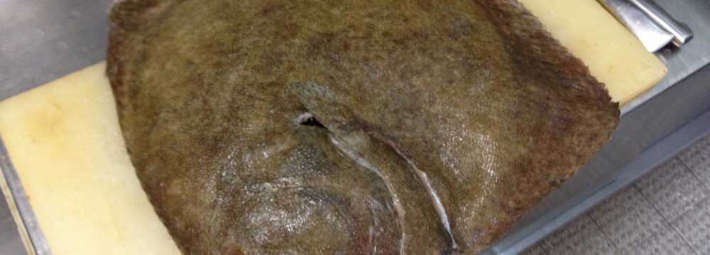 Restaurant Meindl in Eschbach