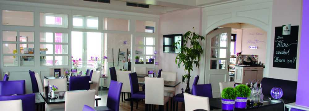 Filou in Sch�nberger Strand 