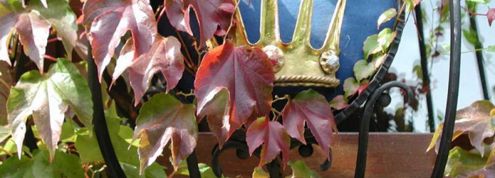 Hotel Zur Krone  in Laudenbach / Main