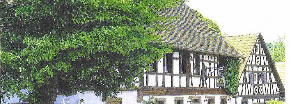 Wirtshaus Im Fronhof in Annweiler-Queichhambach