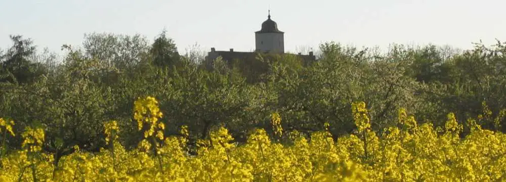 Schloss Hallburg in Volkach