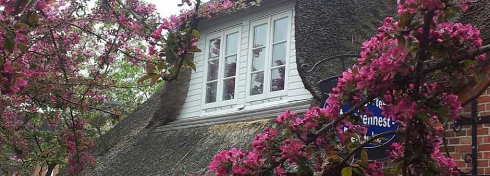 Landhotel Tetens Gasthof in S�derl�gum