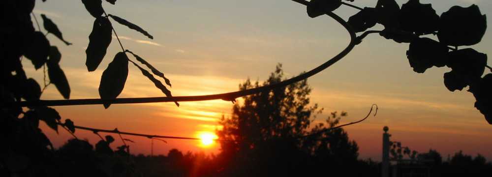 Landhaus Christmann & Gutsausschank Kabinett in St. Martin in der Pfalz