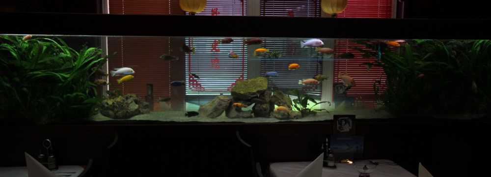 Tai Ping China Restaurant GmbH in Bad Aibling