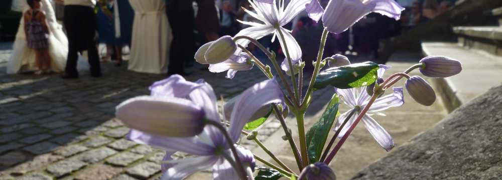 Schloss Lembeck Hotel & Restaurant in Dorsten