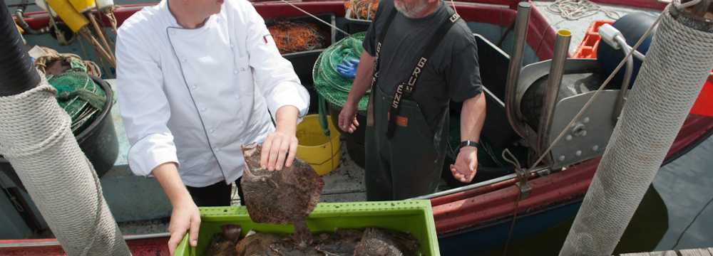 Zur D�ne - Naturstrandk�che in Gr�mitz - Lernsterstrand