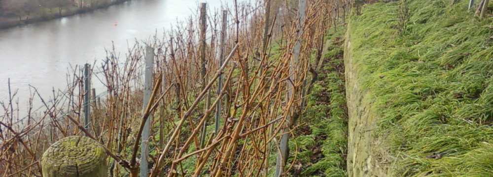 M�hlh�user Stallbesen in Stuttgart