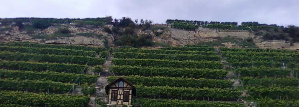 M�hlh�user Stallbesen in Stuttgart