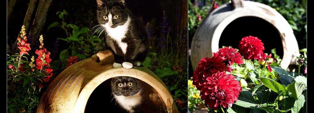 Restaurant HUBLAND in W�rzburg