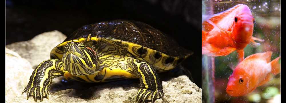 Restaurant HUBLAND in W�rzburg