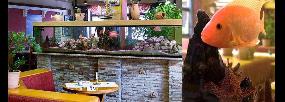 Restaurant HUBLAND in W�rzburg