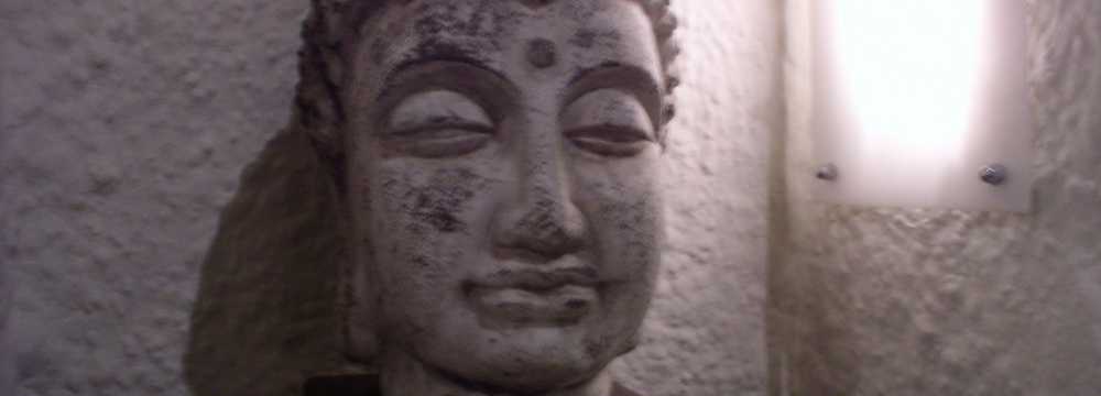 goldfish in Stuttgart