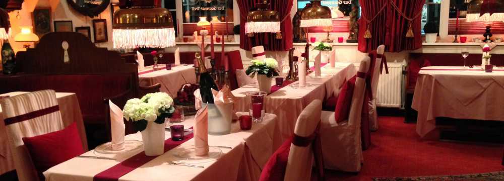 Der Schwan in Einbeck