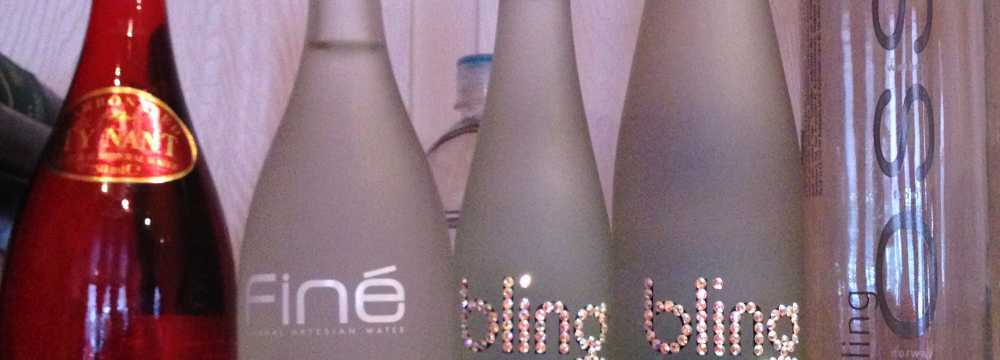 Der Schwan in Einbeck