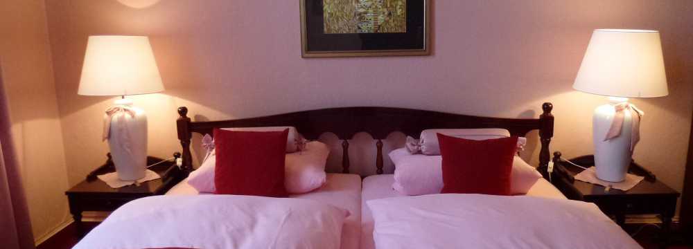 Der Schwan in Einbeck