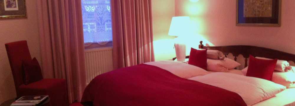 Der Schwan in Einbeck