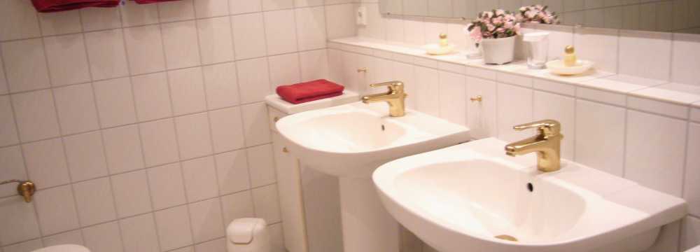 Der Schwan in Einbeck